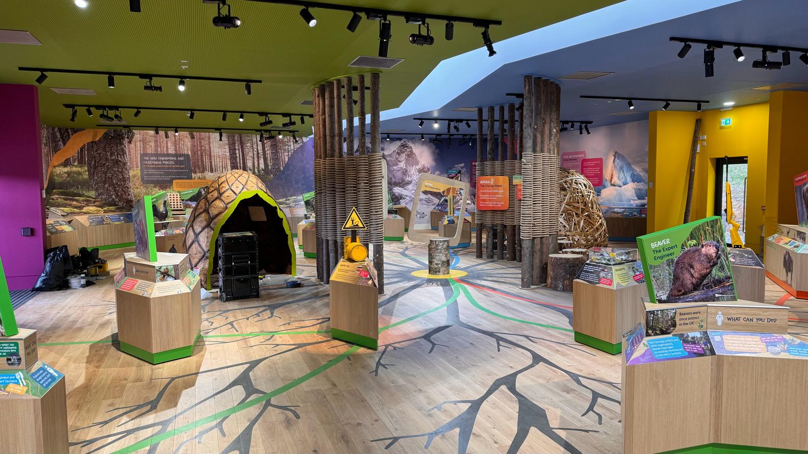 Interpretation inside Scotland's Wildlife Discovery Centre at Highland Wildlife Park IMAGE: Beccy Angus 2024